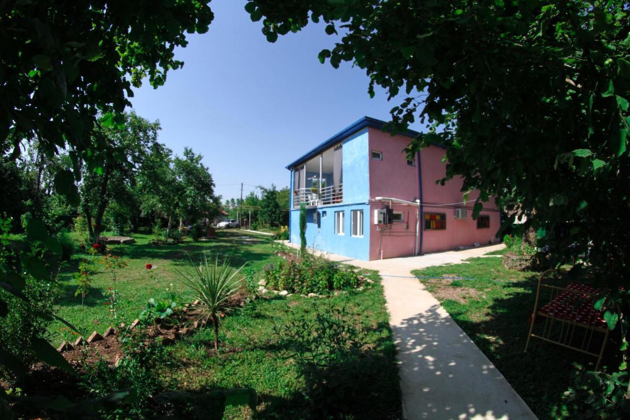 Novel House Apartment Martvili Luaran gambar